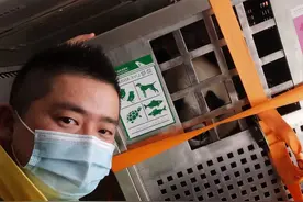 再见~胖妞、春俏图片