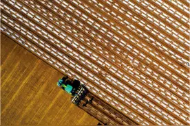 真相与常识㉛｜新疆棉花，竟然这么有用？图片