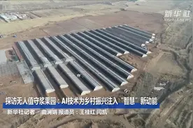 科技帮帮忙｜探访无人值守浆果园：AI技术为乡村振兴注入“智慧”新动能视频封面
