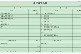 2021年部门预算图片