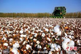 中消协回应HM事件：侵害消费者的合法权益图片