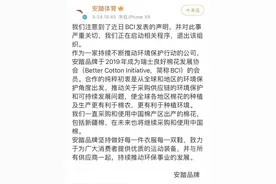 中国品牌表态！力挺新疆棉图片