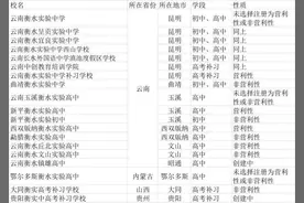 中国第三大民办高中集团在美上市：衡水中学资本化争议图片