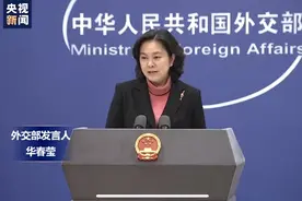 外交部：不允许外国企业一边吃中国的饭，一边砸中国的碗图片