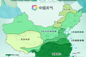 全国树叶变绿+花粉过敏预警双地图出炉！网友：春来早！青岛人：岛城早已美成水墨丹青图片