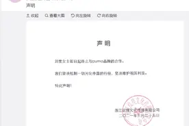 刘雯终止与PUMA合作图片