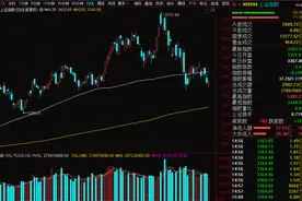 炸锅了！闪崩20%跌停，股民踩雷“碳中和”牛股！服装股嗨了惊现73万手封单，“国家队”扫货目标曝光图片