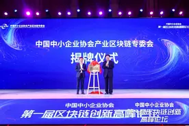 中国中小企业区块链专委会成立图片