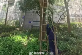 风大吹走了奶奶的被子，消防员化身“攀登者”帮忙图片