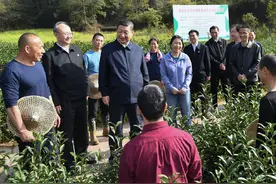 习近平赴福建考察调研金句来了图片