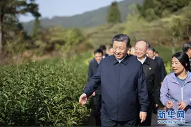 学习进行时丨习近平的“茶之道”图片