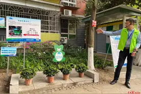 这个老旧小区没有垃圾桶，为何不脏乱？1000个绿色“盲盒”带来大变革图片