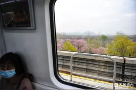 济南地铁2号线换乘1号线，沿途偶遇春天最美的风景图片
