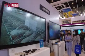 探访“2021数博会”：AI养殖成就一只猪的智能生活视频封面