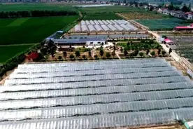 公安县：特色生态农庄助力乡村振兴图片