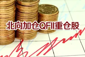 QFII重仓股曝光，“聪明资金”重点加仓这15股丨一手数据视频封面