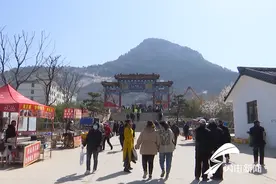 泰安市宁阳县：梨花开放春似锦 梨园飘香迎客来图片