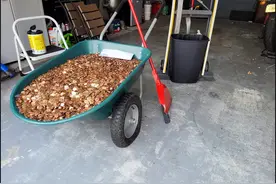 无语！美国一男子离职后被欠薪，申诉后收到9万枚“油污硬币”……图片