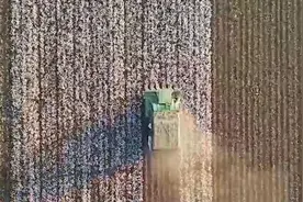 瞰见｜机械化采摘的新疆棉田视频封面