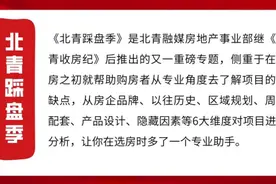 分钟寺愁云？11万起步的“三兄弟”能否破解“伪豪宅”魔咒？图片