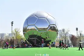 在这踢了那么多场球，你欠它一句生日快乐图片