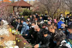 济南对亡故居民选择生态葬将给予奖补 最高奖补4000元图片