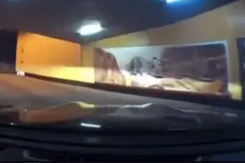 前一秒在笑，后一秒就哭了！切莫抱有侥幸心理啊，不然就悲剧啊！视频封面