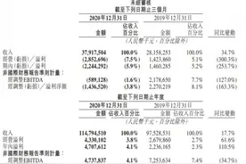 美团：2020年净利润47.08亿人民币，同比增长110.5%图片