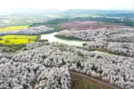 郎溪樱花火上央视！春日高颜值旅拍地上线 周末走起图片