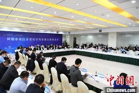 新疆打造冰雪旅游新高地 专家汇聚阿勒泰建言献策图片