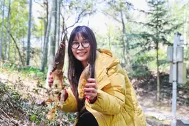 一起来松江山里挖笋吧图片
