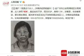 “梅姨”是谁？同伙曾描述“只要有孩子她就收”图片