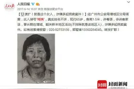 “梅姨”是谁？同伙曾描述“只要有孩子她就收”图片
