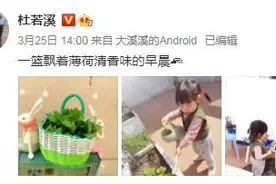 杜若溪晒幸福生活瞬间 女儿与小狗开心玩耍图片