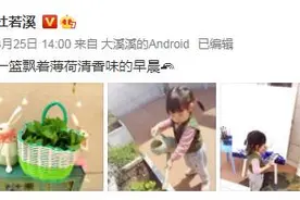 杜若溪晒幸福生活瞬间 女儿与小狗开心玩耍图片