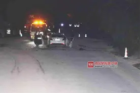 交警公布调查结果：这起致3死1伤的车祸，有一个特殊的“责任人”图片