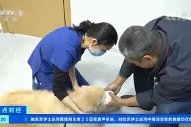 宠物医疗保险来了！一个月交33块钱，看病可赔付这些钱图片