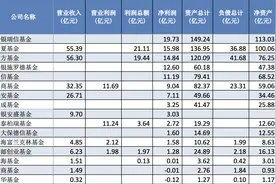 工银瑞信基金去年大赚19.73亿，赶超华夏暂列第一图片