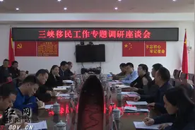 祁阳召开三峡移民工作专题调研座谈会图片