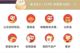 “随申办”APP喊您来查养老金对账单啦图片