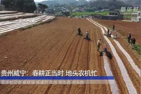 贵州威宁：春耕正当时 地头农机忙视频封面