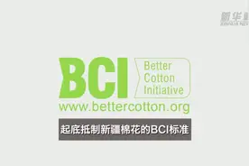 新华视点｜起底抵制新疆棉花的BCI标准图片