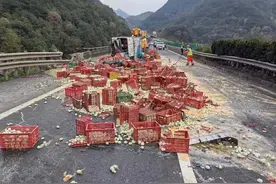 车速太快刹不住，高速公路上，蛋碎了一地……图片