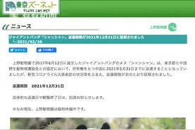 香香回国日期延迟至年底 日本网友乐疯了：干脆再送个对象来吧图片