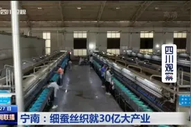 四川新闻联播丨这里的细蚕丝织就30亿大产业图片