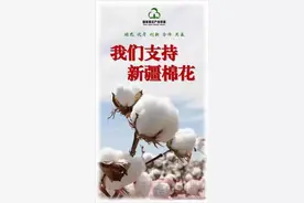 国家棉花产业联盟发声：“我们支持新疆棉花”图片