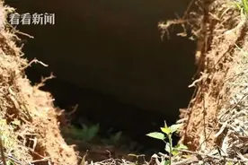 山上突现大盗洞 这群人还扛着洛阳铲带着探测针……图片