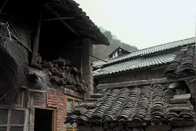“代”来的女儿图片