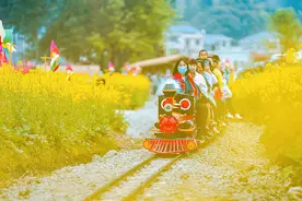 福建古田：春来油菜花意浓 踏青赏花游人醉图片