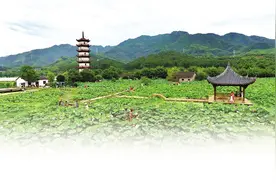 「人文武义」武义畲族何时何地迁来图片